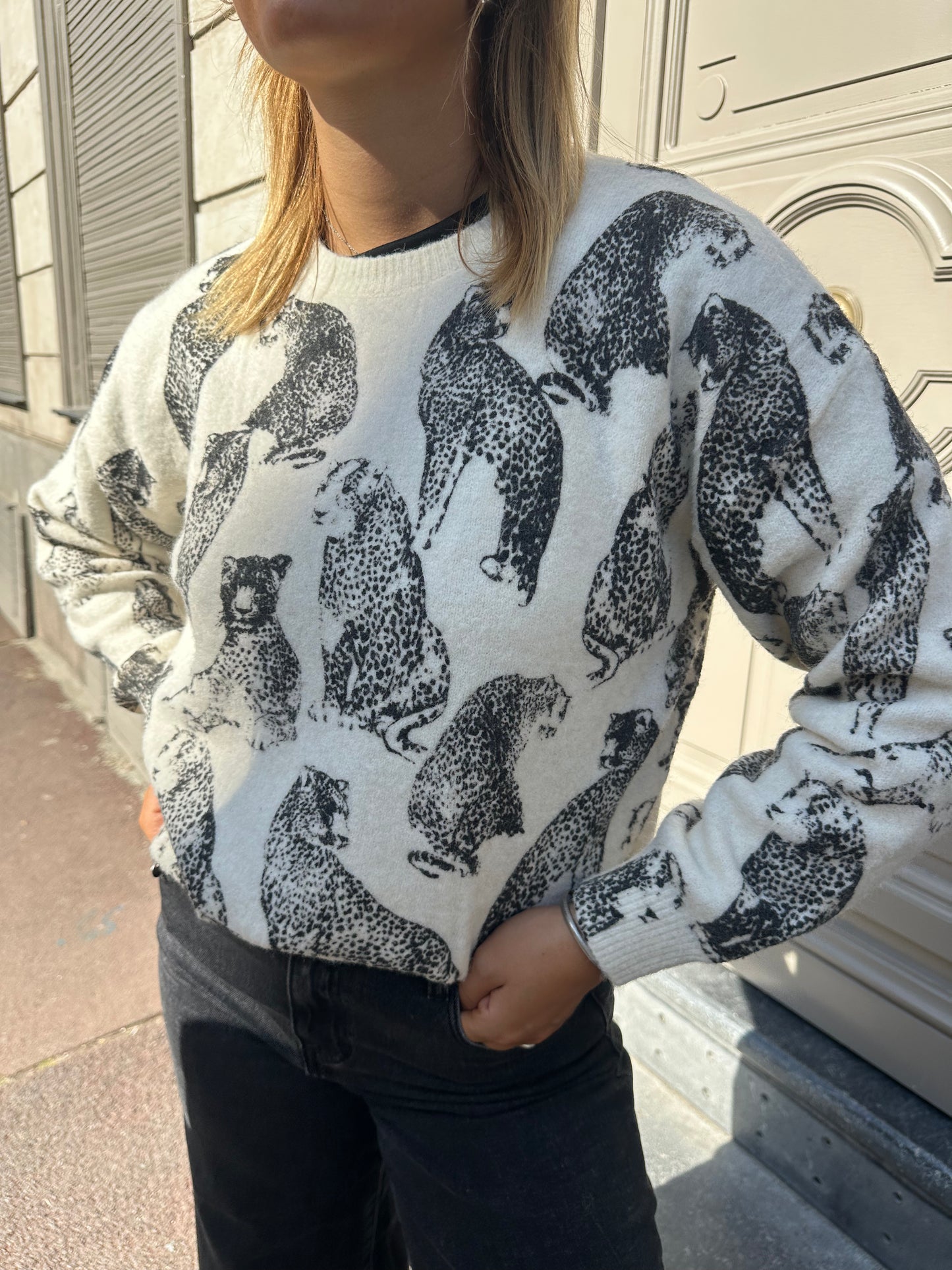 Pull sauvage