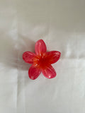 Pince Hawaï Rose
