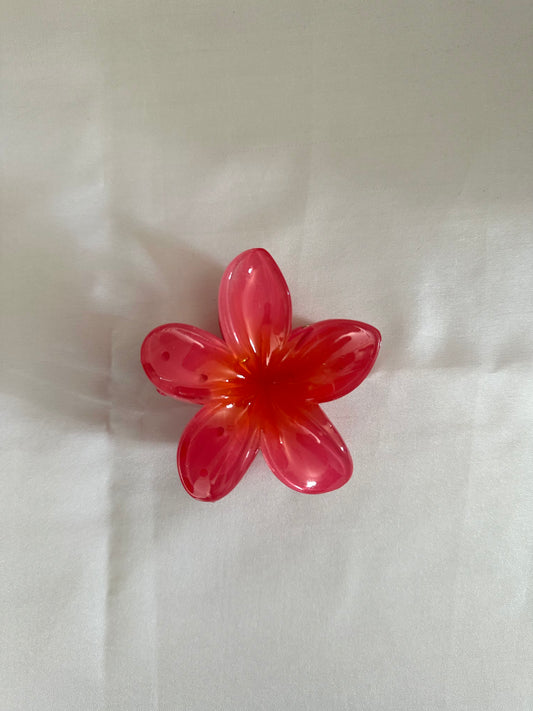 Pince Hawaï Rose